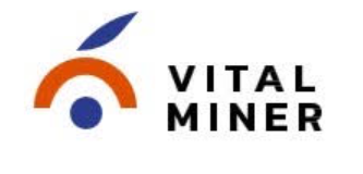 Logo vital miner